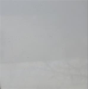 Pure White 
